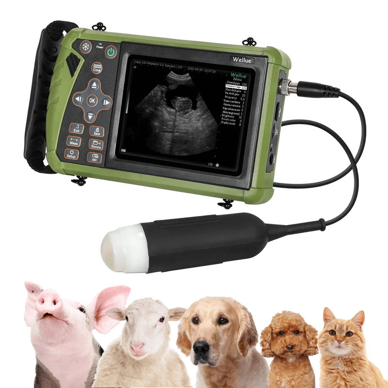 S0 ポータブル動物用超音波検査