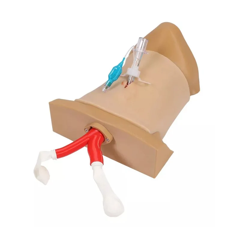 Crico Chris – Koniotomie Task Trainer