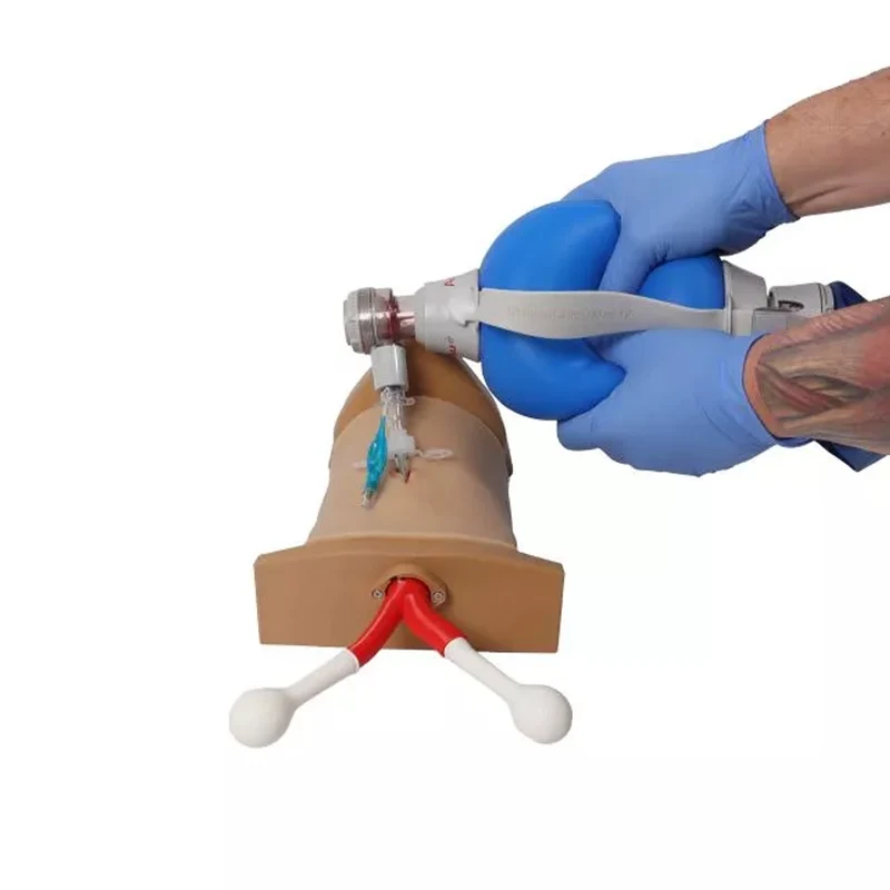 Crico Chris – Koniotomie Task Trainer