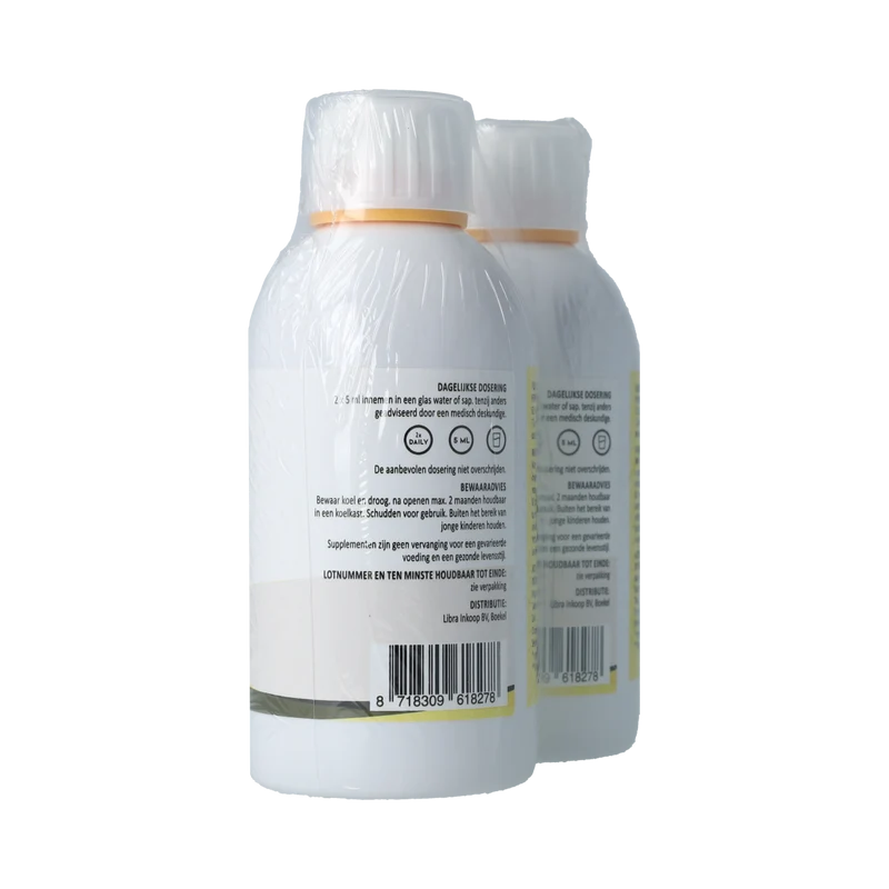 Silidyn Liposomal Magnesium Compl 250ml AKTIE 1+1 gratis 500.00 Milliliter