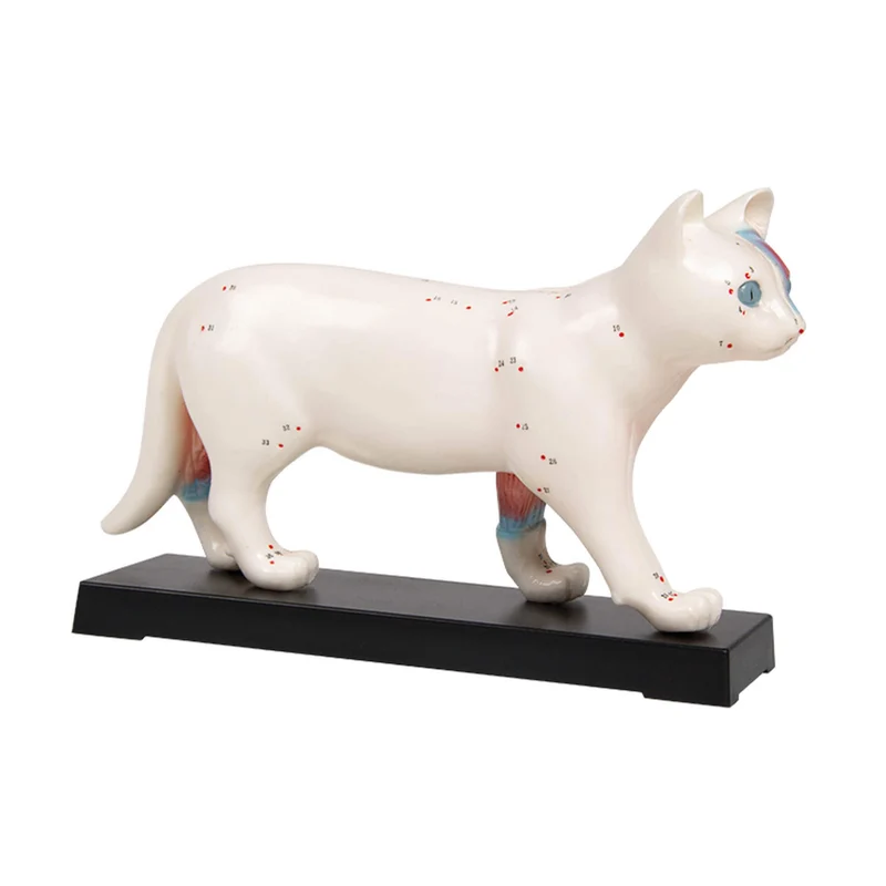 Erler-Zimmer Akupunktur Figur Modell Katze