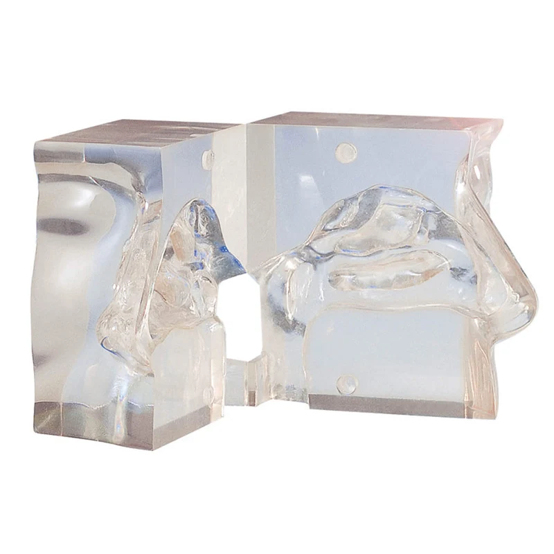 Erler-Zimmer Transparentes Nasenmodell