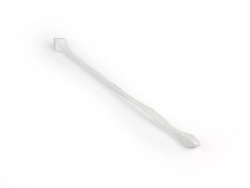 Erler-Zimmer Wadenbein Modell Fibula