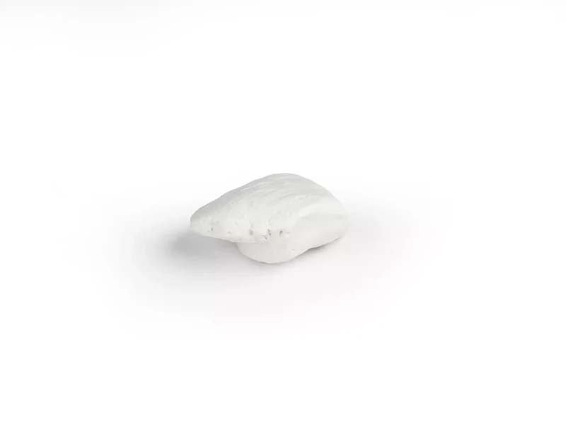 Erler-Zimmer Kniescheibe Modell Patella