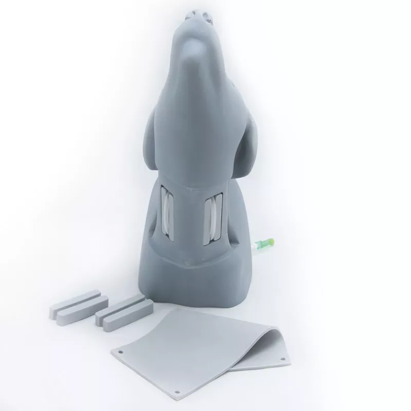 Erler-Zimmer Hundekopf Gefäßzugangssimulator