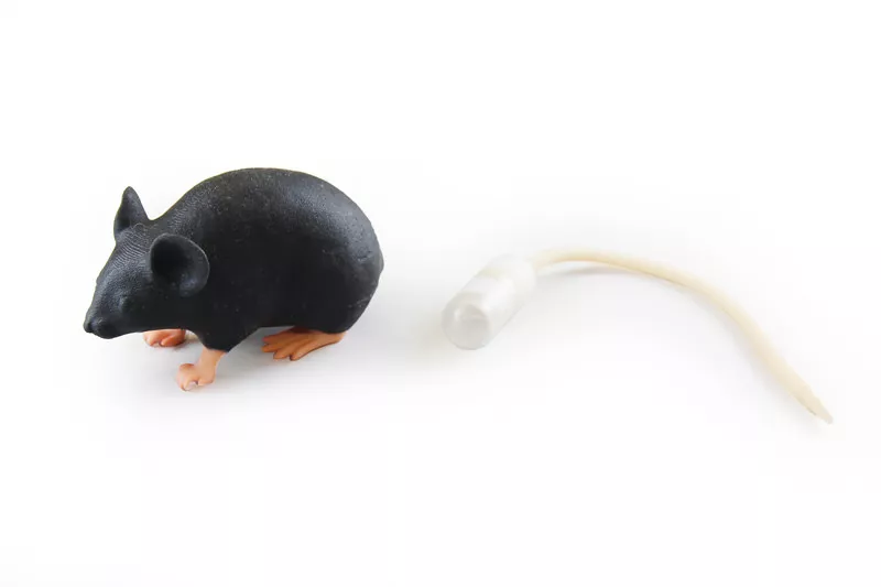Erler-Zimmer Mimicky Mouse