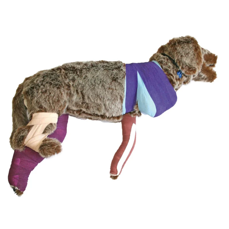 Erler-Zimmer Verbandtrainingspuppe Rufus
