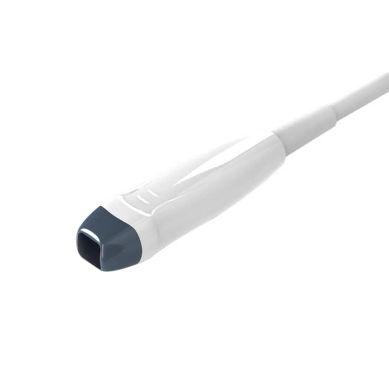Phased-Array-Sonde P6-E