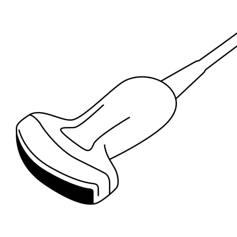 Konvex-Sonde C3-E
