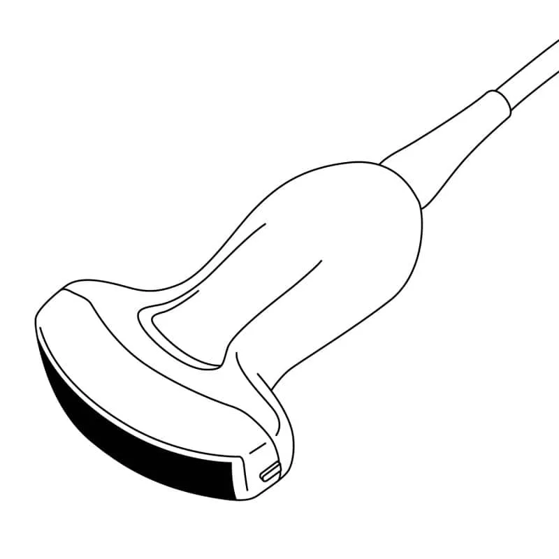 Konvex-Sonde C3-A
